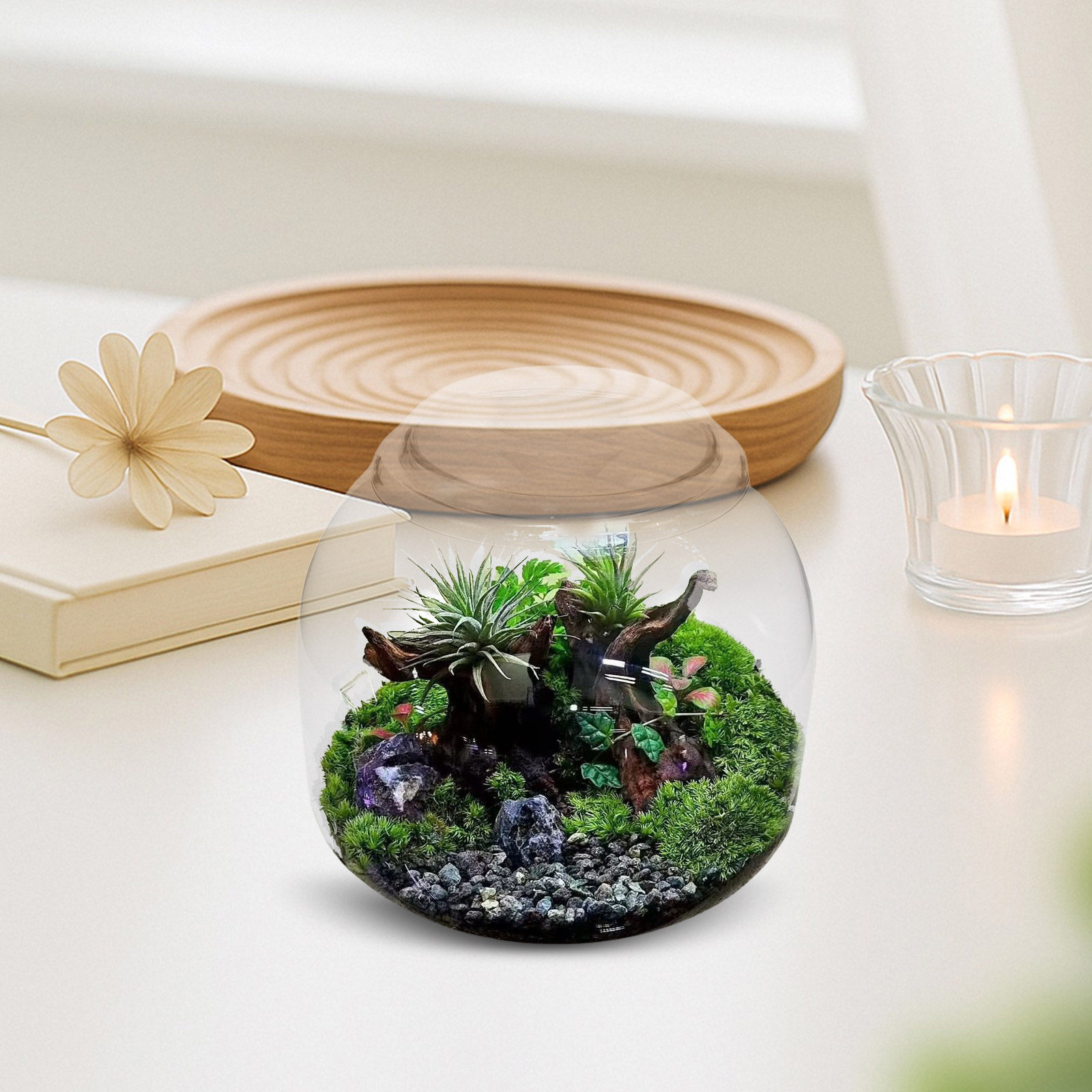 Terrarium Glass Bottle - Glass Terrarium Jar with Lid Transparent