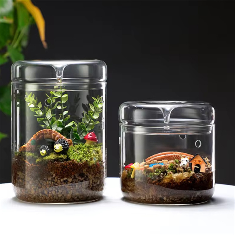 Terrarium Glass Bottle - Glass Bottles Creativity Dew Collection Glass