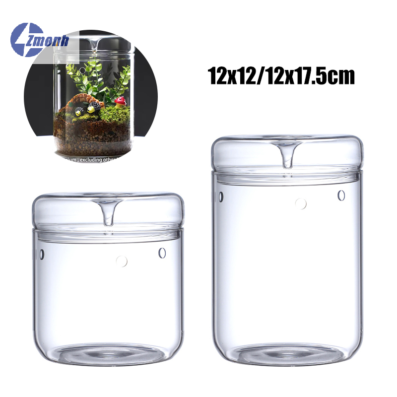 Terrarium Glass Bottle - New！Micro Landscape Glass Bottle Creative Dew