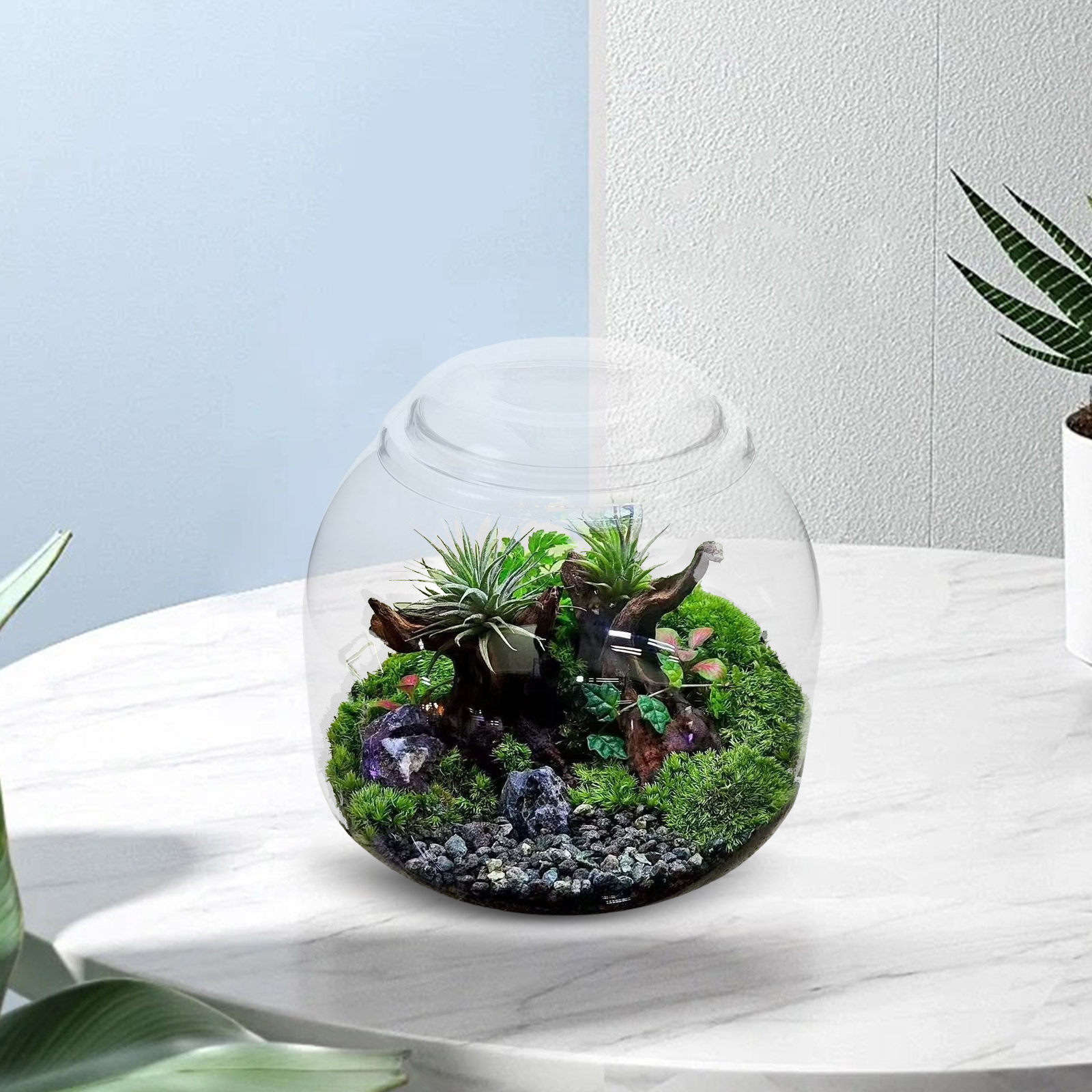 Glass Terrarium Jar with Lid T - Terrarium Glass Bottle ulasan dan harga