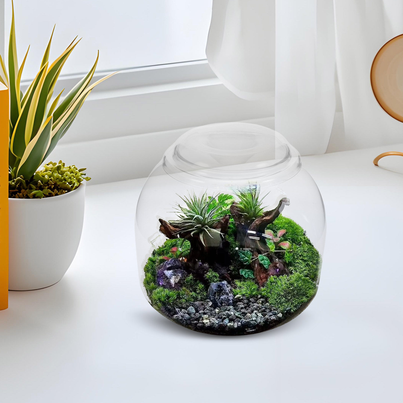 Glass Terrarium Jar with Lid T - Terrarium Glass Bottle ulasan dan harga