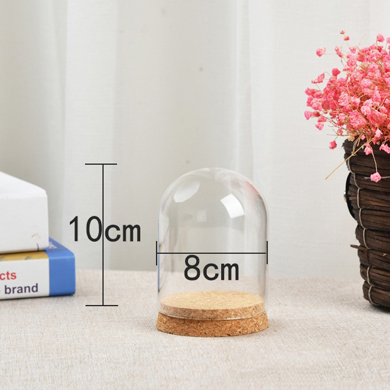 Glass Dome Cover For Flower Su - Terrarium Glass Bottle ulasan dan harga