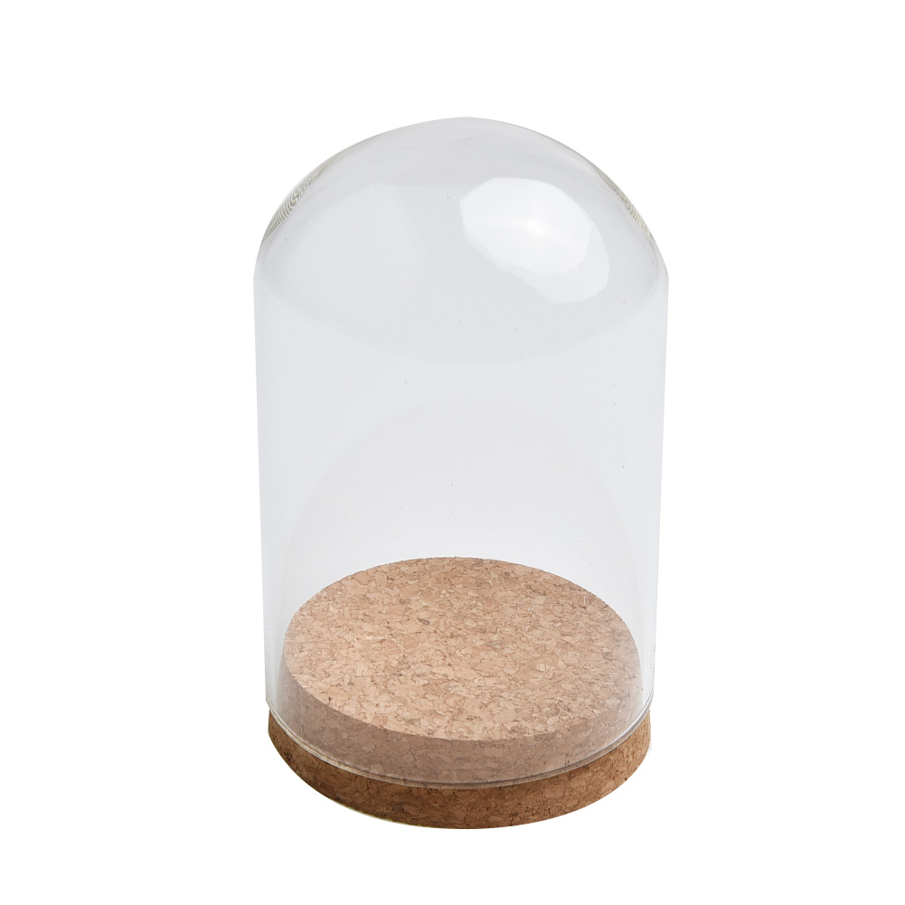 Glass Dome Cover For Flower Su - Terrarium Glass Bottle ulasan dan harga