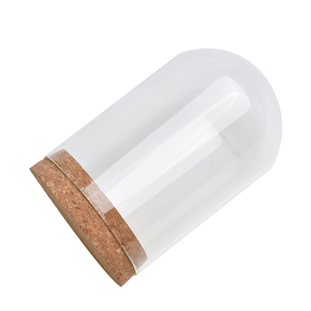 Glass Dome Cover For Flower Su - Terrarium Glass Bottle ulasan dan harga