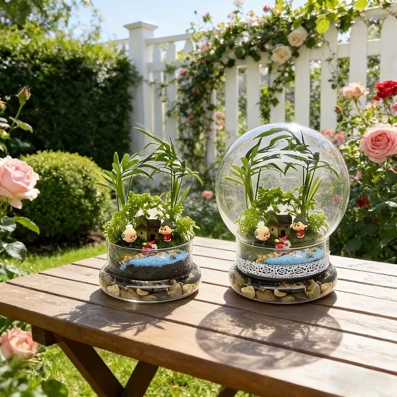 New 2in1 Spherical Terrarium G - Terrarium Glass Bottle ulasan dan harga