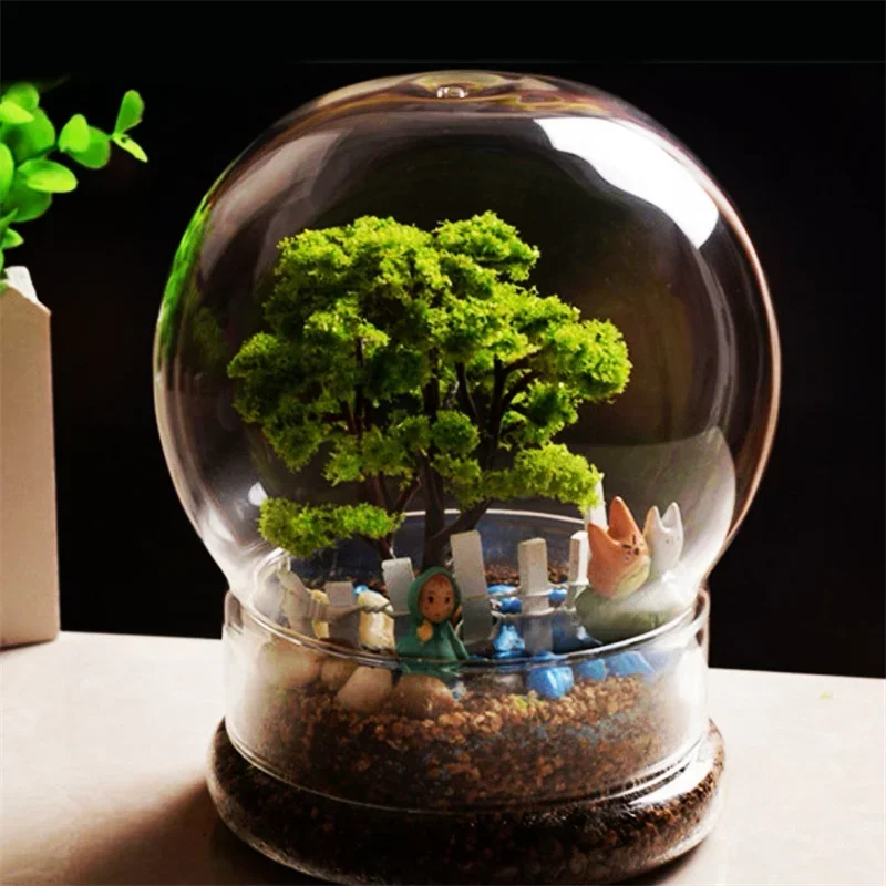New 2in1 Spherical Terrarium G - Terrarium Glass Bottle ulasan dan harga