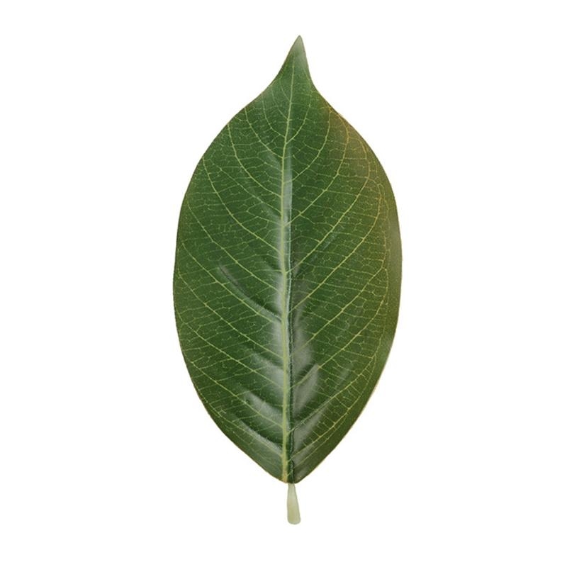 Artificial Green Magnolia Leav - Home Decor Catalog ulasan dan harga