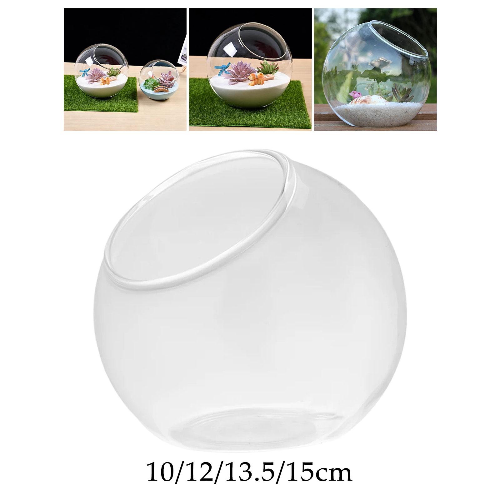 Terrarium Glass Vase Unique Ce - Terrarium Glass Bottle ulasan dan harga