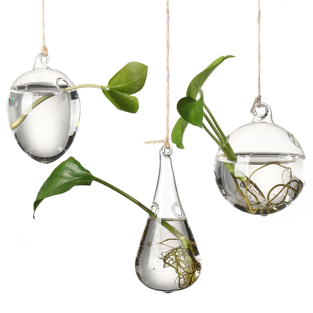 Creative Hanging Glass Vase Hy - Terrarium Glass Bottle ulasan dan harga