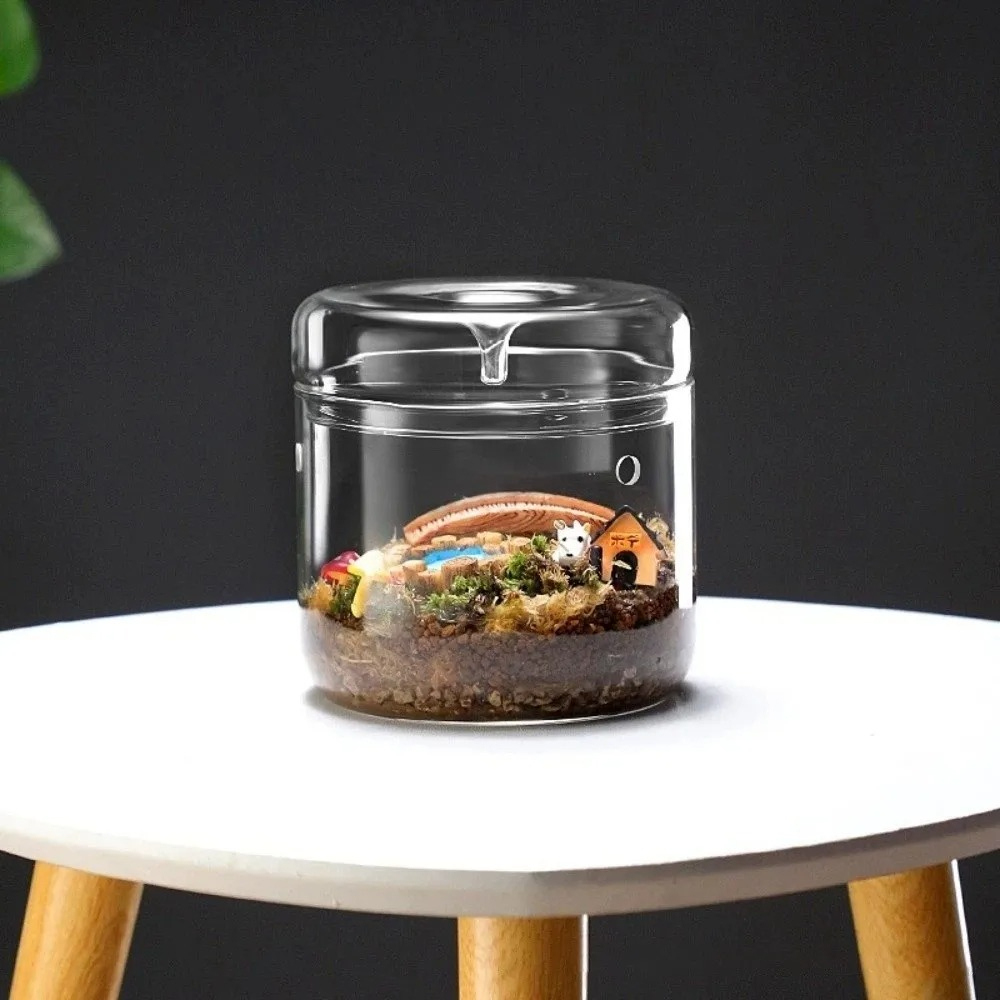 Micro Landscape Glass Vase wit - Terrarium Glass Bottle ulasan dan harga