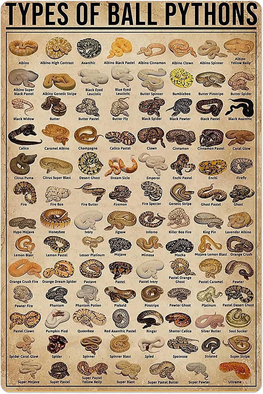 Retro Metal Tin Sign Types of  - Home Decor Shop ulasan dan harga