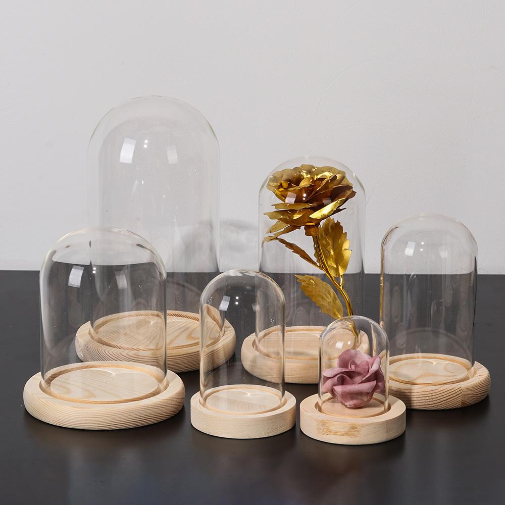 Terrarium Tabletop Fairy Light - Terrarium Glass Bottle ulasan dan harga