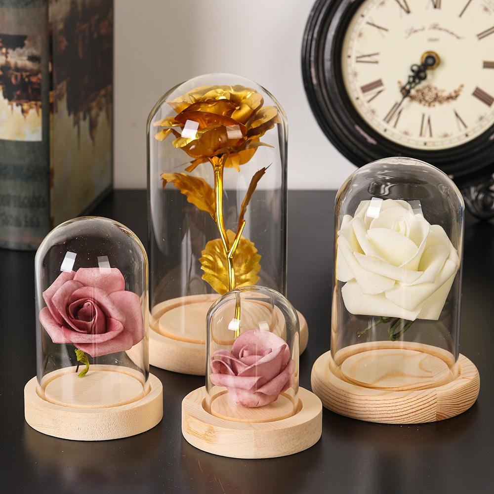 Glass Cloche Jar Display Stand - Terrarium Glass Bottle ulasan dan harga