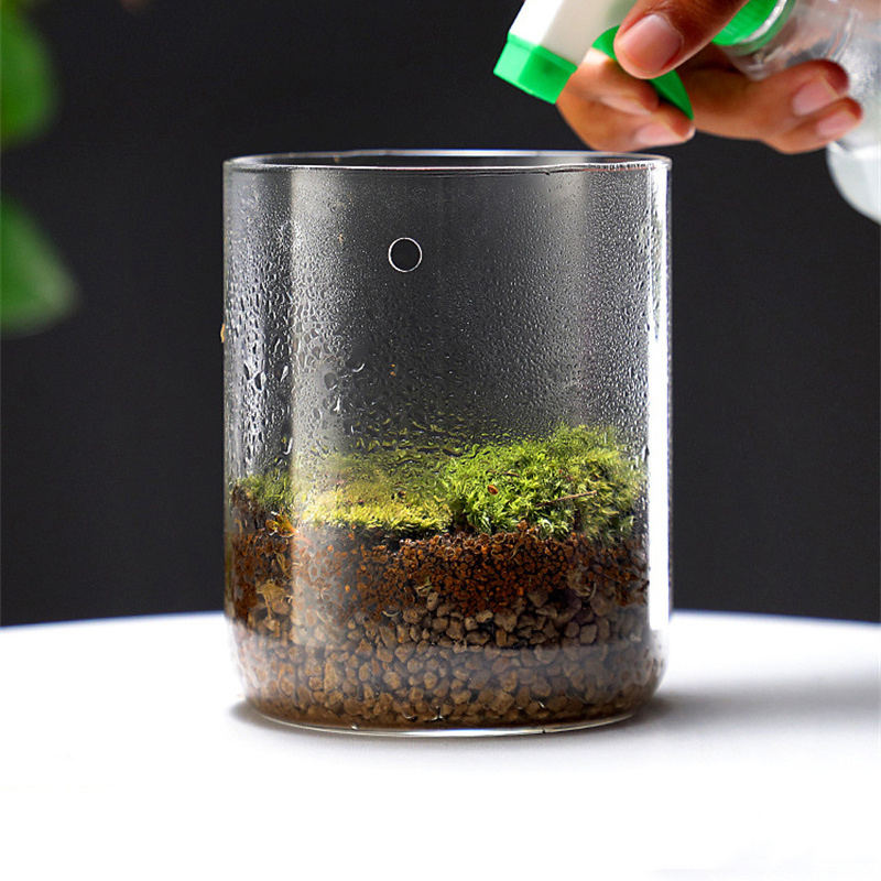 Glass Bottles Creativity Dew C - Terrarium Glass Bottle ulasan dan harga
