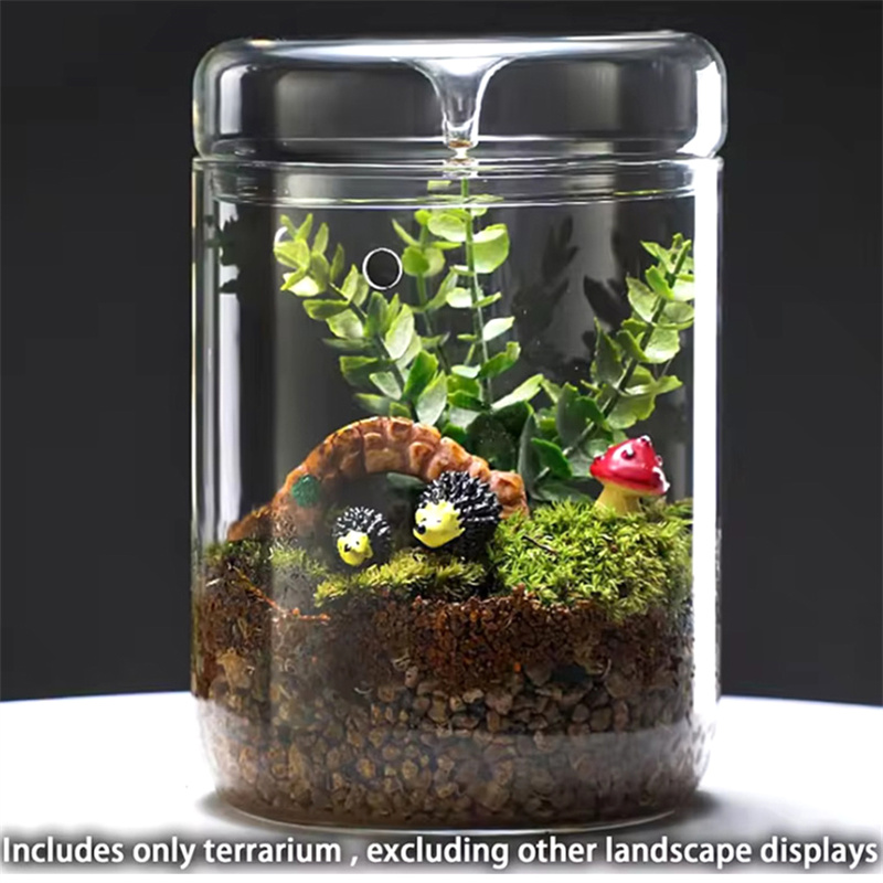 Glass Bottles Creativity Dew C - Terrarium Glass Bottle ulasan dan harga