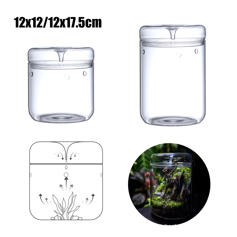 New！Micro Landscape Glass Bott - Terrarium Glass Bottle ulasan dan harga