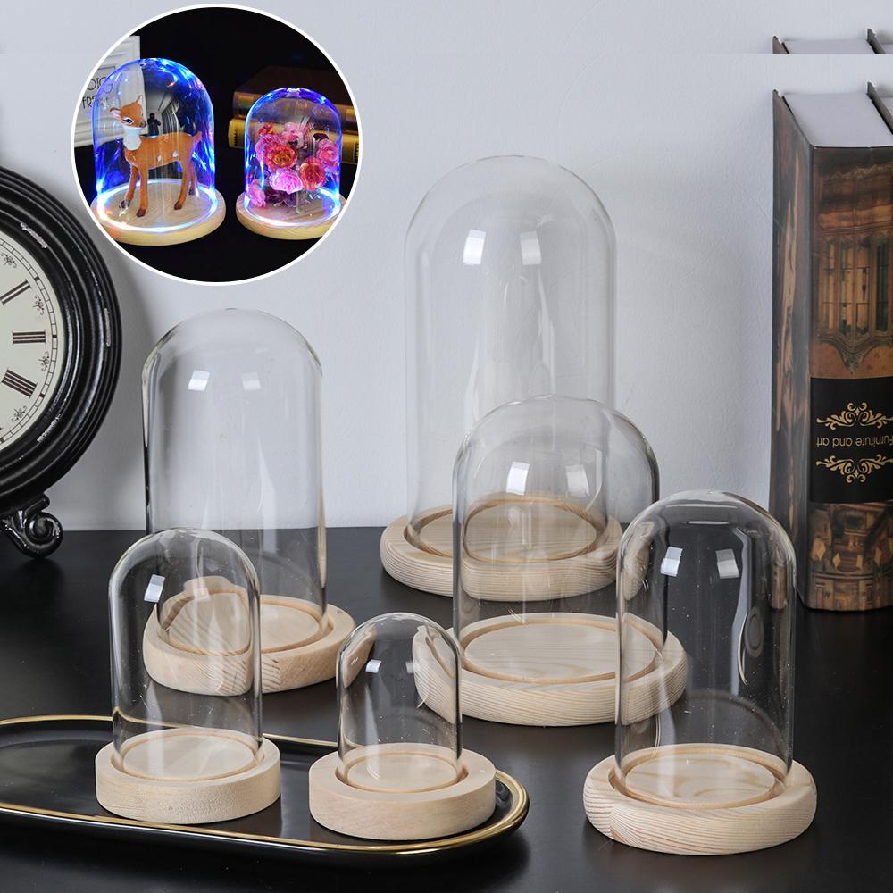 Fairy Lights Home Decor Terrar - Terrarium Glass Bottle ulasan dan harga